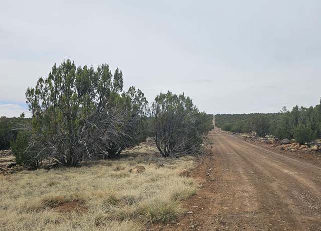 Property at TBD CR 8065, Concho, AZ 85924