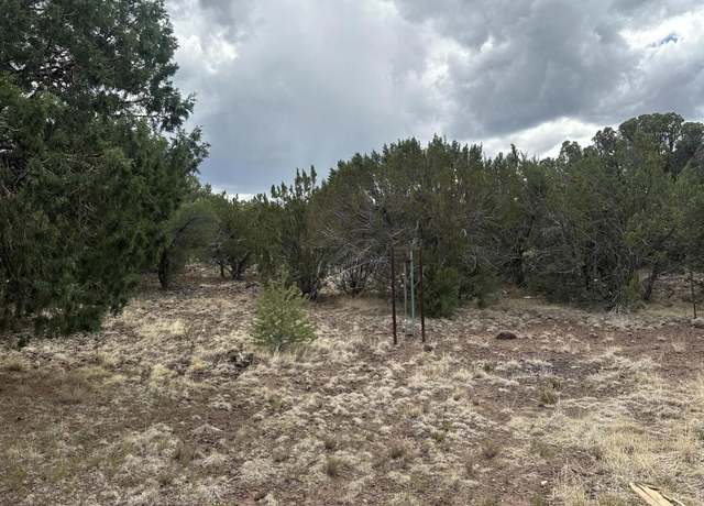 Property at TBD HWY 61, Vernon, AZ 85940