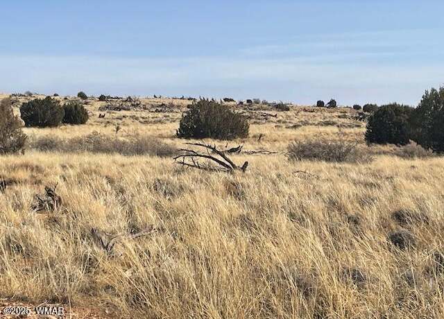 Property at TBD John Dr, Snowflake, AZ 85937
