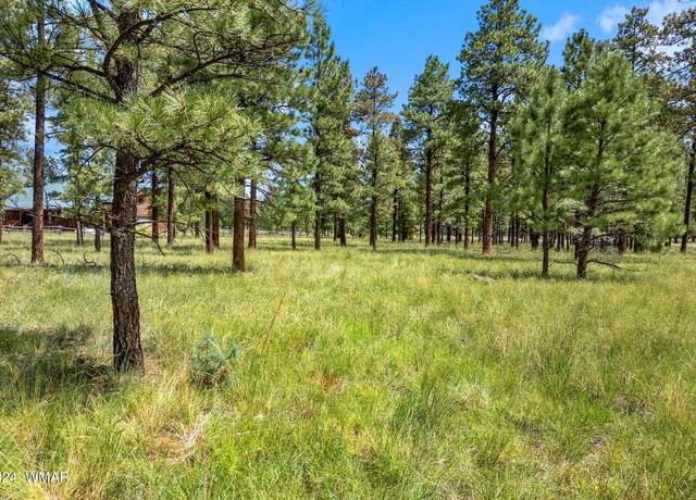 Property at 373 AZ-373, Greer, AZ 85927