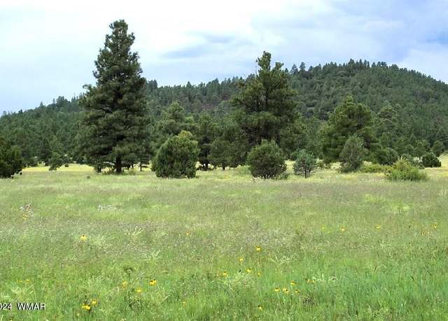 Property at LOT 5B RED CABIN Rnch, Vernon, AZ 85940