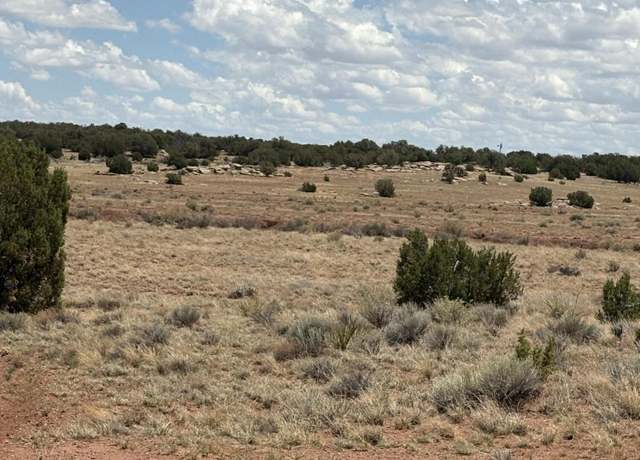 Property at 104 N 5532, Concho, AZ 85924