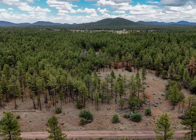 Property at 039F Dynamite Rd, Lakeside, AZ 85929