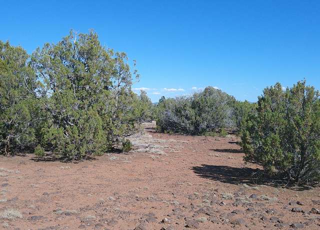 Property at 24 County Road 8063, Concho, AZ 85924