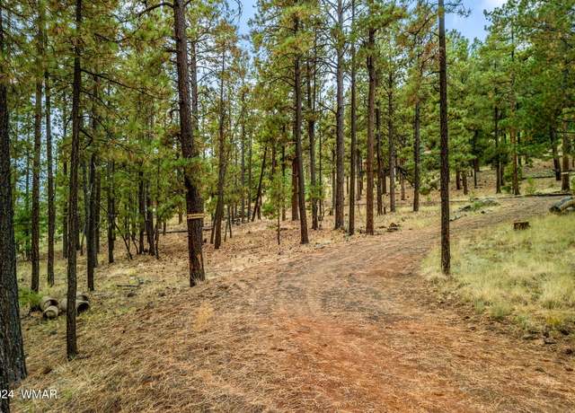 Property at TBD TBD, Greer, AZ 85927