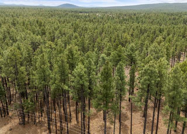 Property at 9241 Morgan Mountain Rd Unit 9240 Wilderness Drive, Lakeside, AZ 85929