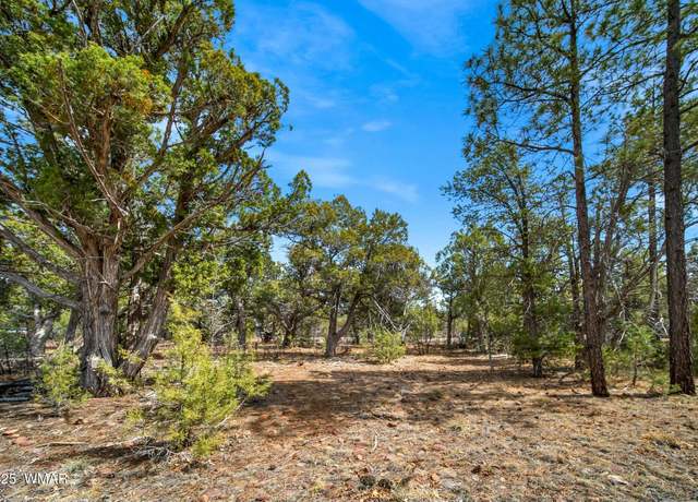 Property at 1760 S Monkshood Rd, Show Low, AZ 85901