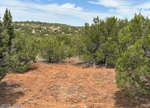 Property at 40 County Road 3048, Concho, AZ 85924