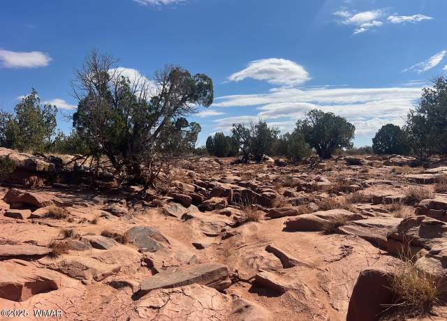 Property at 000 Old Woodruff Rd, Snowflake, AZ 85937
