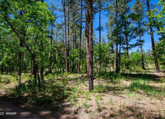 Property at 13 County Road N 2122, Alpine, AZ 85920