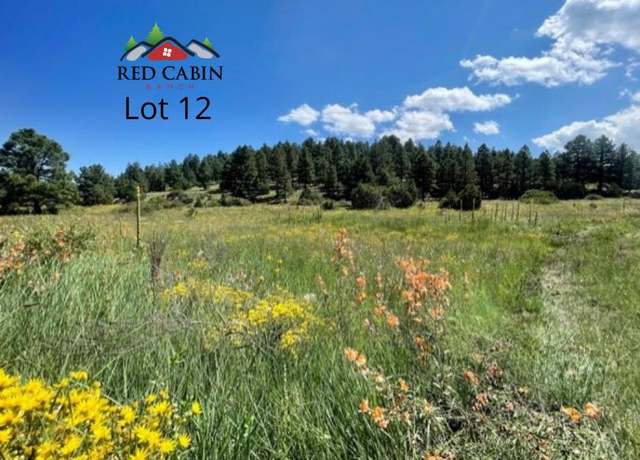 Property at Lot 12 Red Cabin Rnch, Vernon, AZ 85940