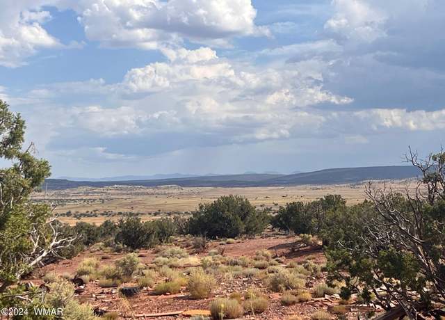 Property at 154 N5370, Concho, AZ 85924