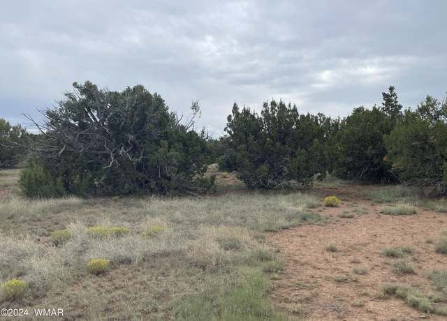 Property at 236 Colorado Ave, Concho, AZ 85924