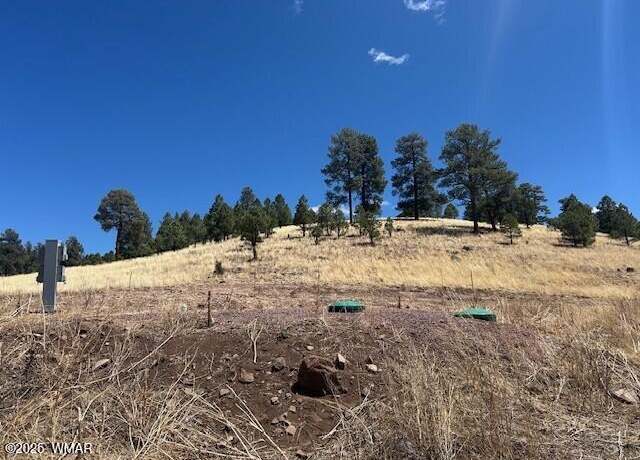 Property at 6 County Road 2331 Lot 18 The Ranch, Alpine, AZ 85920