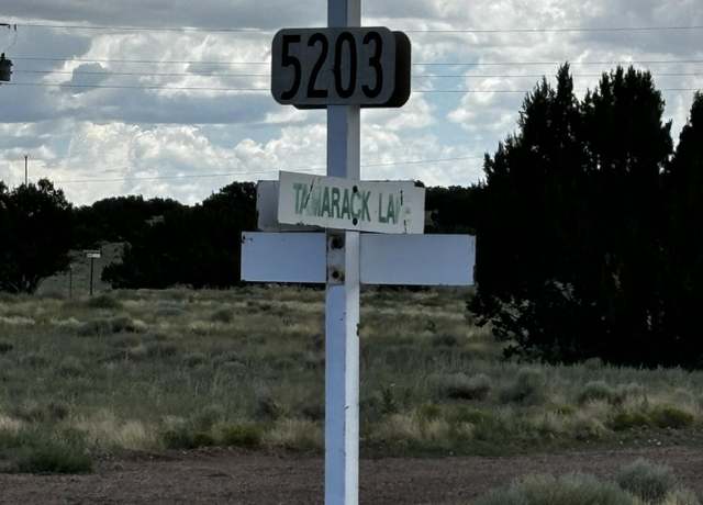 Property at 20 Tamarack Rd, Concho, AZ 85924