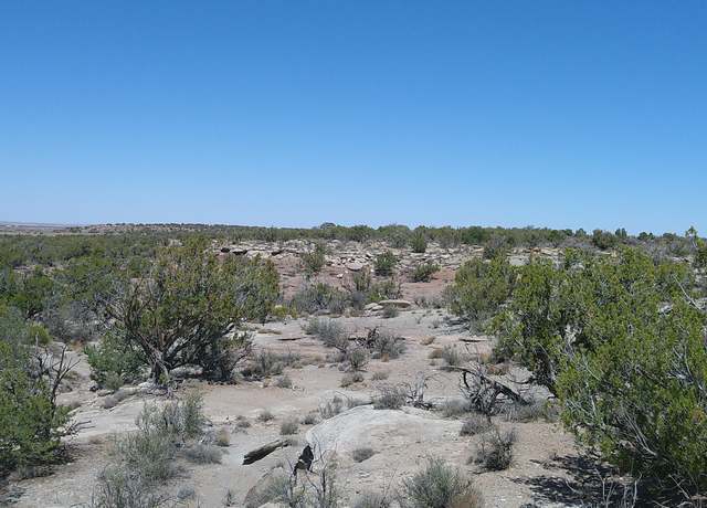 Property at 8581 Justin Ln, Snowflake, AZ 85937