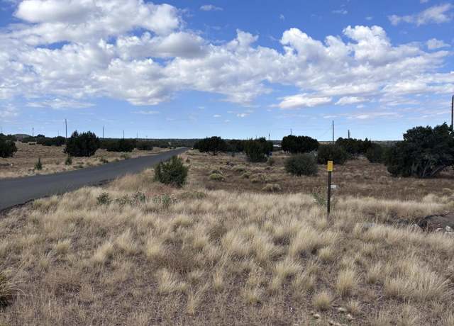 Property at 155 Cinder DR (CR 5101), Concho, AZ 85924