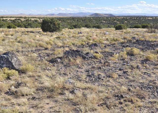 Property at 8Z Concho Creek Dr, Concho, AZ 85924