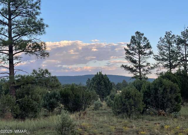 Property at 3621 N Mountain Creek Trl, Lakeside, AZ 85929