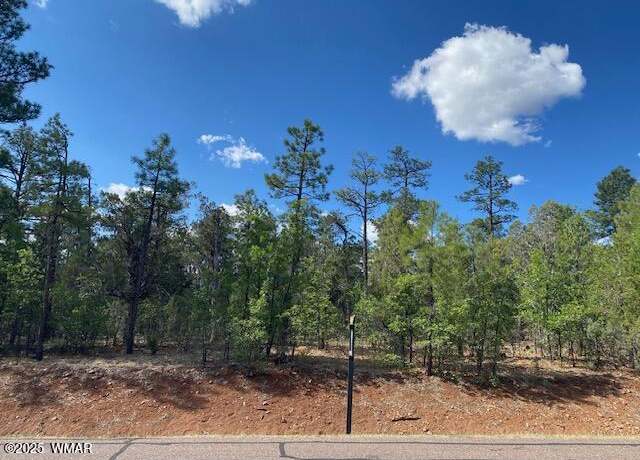 Property at 2400 S Monkshood Rd, Show Low, AZ 85901