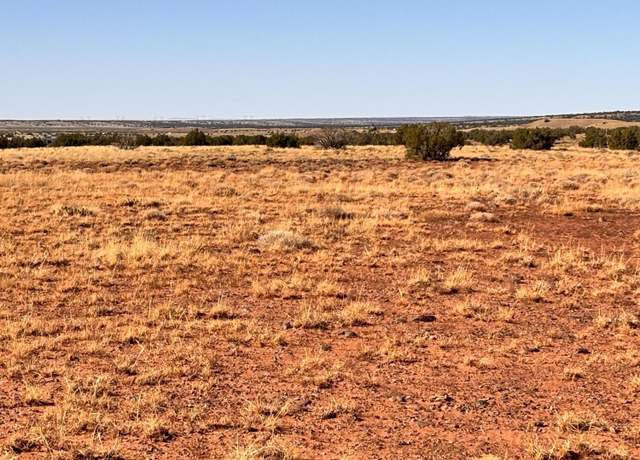 Property at TBD Spurlock Rd, Chambers, AZ 86502