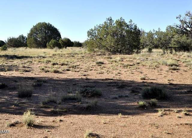 Property at 4427 E Pinto Rd, Snowflake, AZ 85937