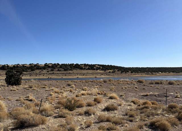 Property at 9 County Road 5700, Concho, AZ 85924