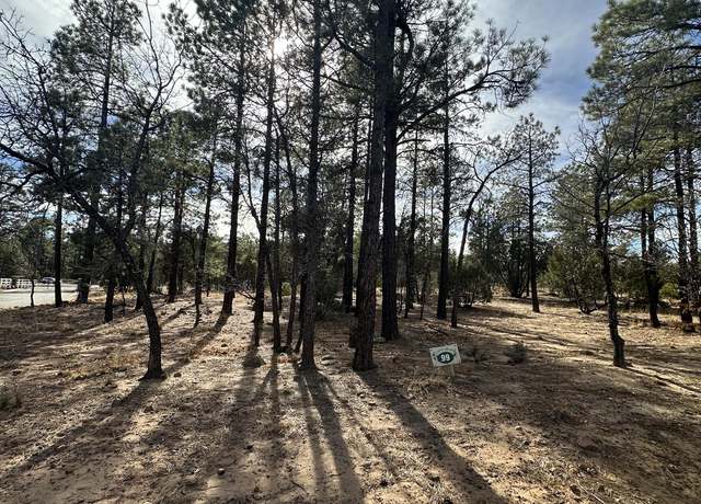 Property at 4981 Silver Mountain Dr, Lakeside, AZ 85929