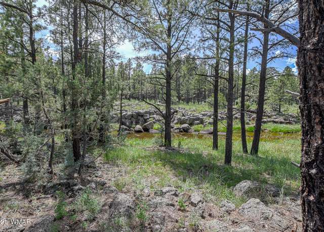 Property at 026 Birdsong Way, Lakeside, AZ 85929