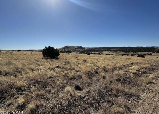 Property at 30 County Road 5084, Concho, AZ 85924