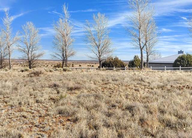 Property at 1960 S Blossom Ln Lot 54, Taylor, AZ 85939