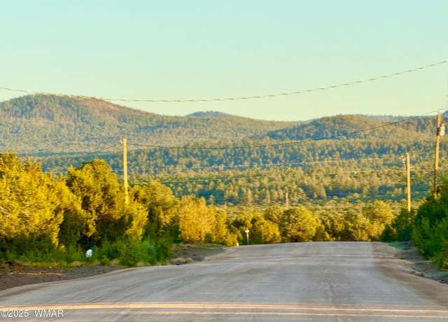 Property at 50 Winchester (3151) Blvd, Vernon, AZ 85940