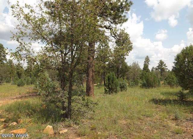 Property at 2697 Lost Way, Overgaard, AZ 85933