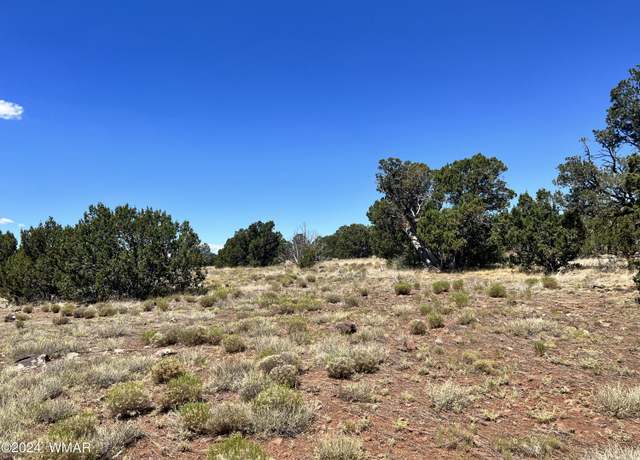 Property at Lot 049, Concho, AZ 85924