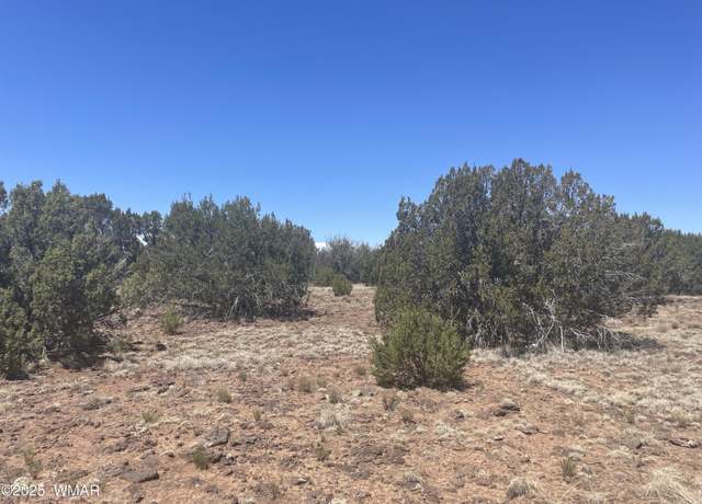 Property at 148 Alaska Ave, Concho, AZ 85924