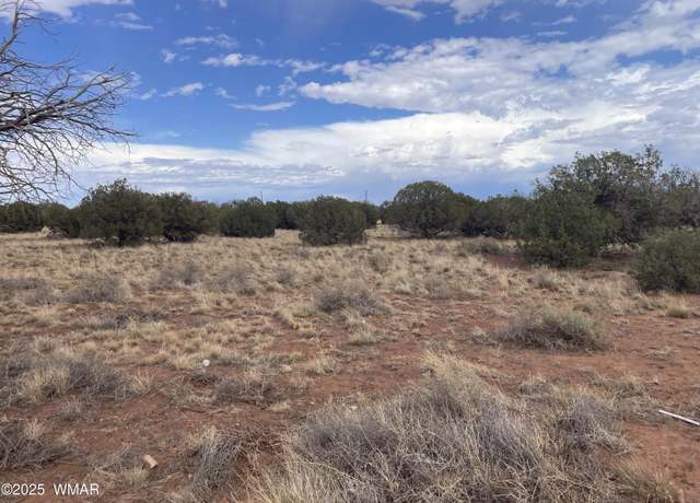 Property at 4353 Colt Rd, Snowflake, AZ 85937