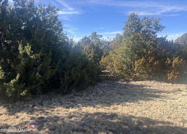 Property at TBD S Jimmy St, Eagar, AZ 85925