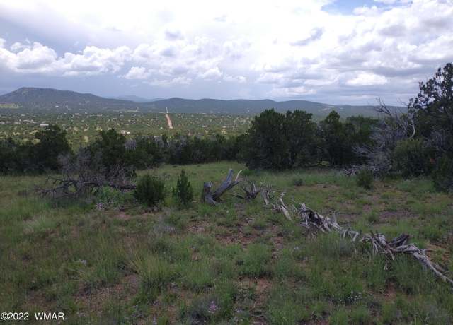 Property at 48 Co 8032 Rd #8032, Concho, AZ 85924