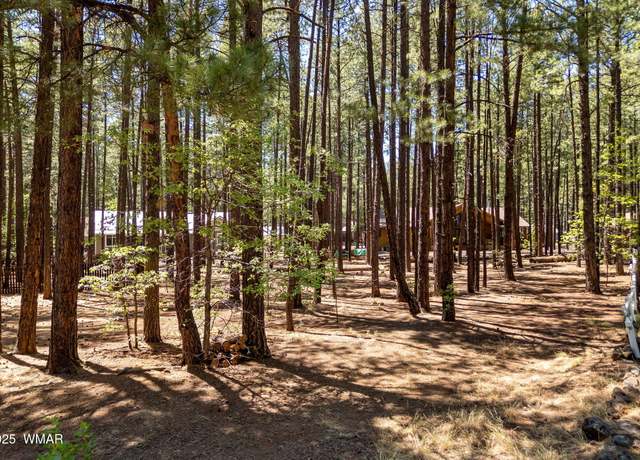Property at 8510 Alchesay Dr, Pinetop, AZ 85935