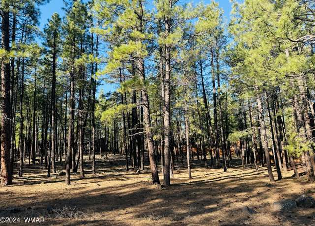 Property at 2936 Blue Lake Cir, Pinetop, AZ 85935