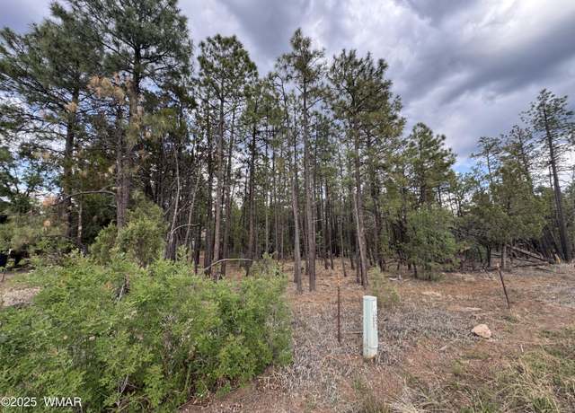 Property at TBD White Mountain Blvd 212-09-10Q, Lakeside, AZ 85929