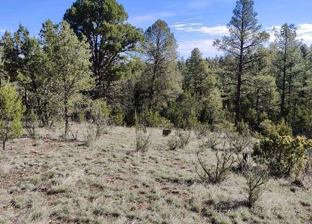 Property at 2316 Thunderbird Cir, Overgaard, AZ 85933