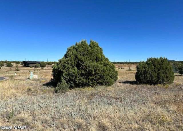 Property at 1161 S Lorenzo Sitgreaves Dr, Show Low, AZ 85901