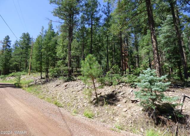 Property at 9 County Road 2073, Alpine, AZ 85920
