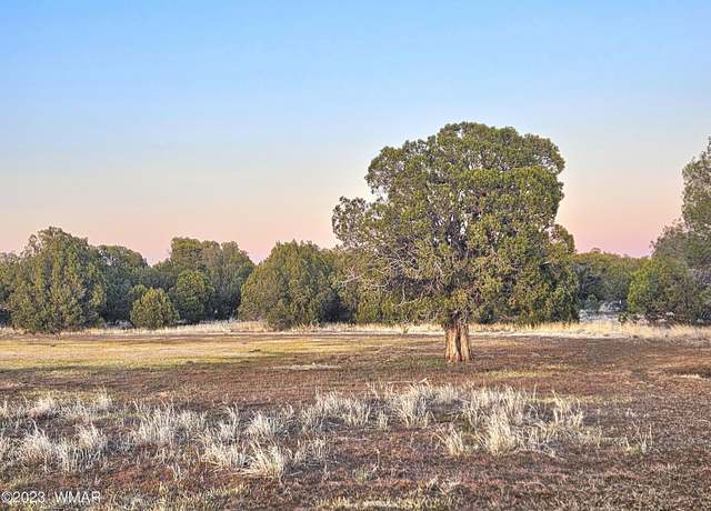 Property at 1606 Echo Ct, Show Low, AZ 85901