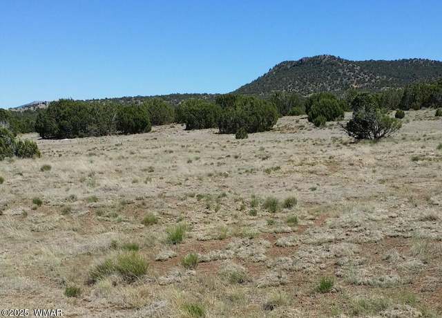 Property at 84 Co Rd 3035, Concho, AZ 85924