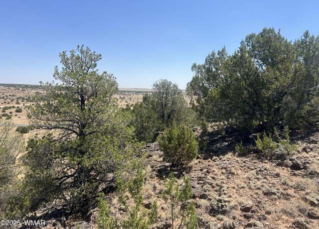 Property at 5 County Rd #8095, Concho, AZ 85924