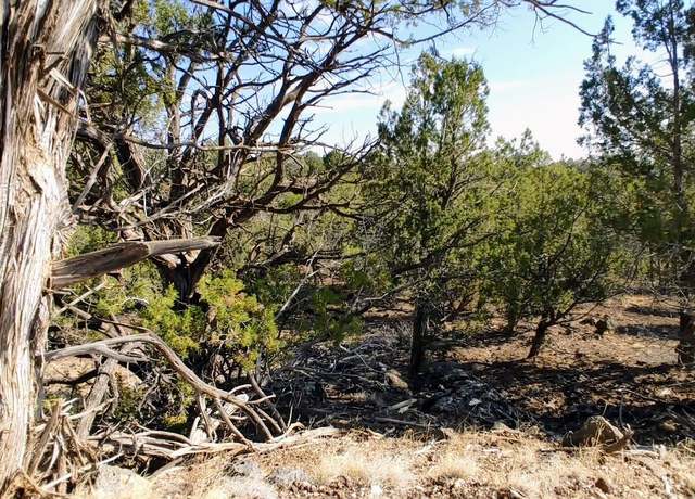 Property at 1849 Rocky Bottom Pl, Show Low, AZ 85901