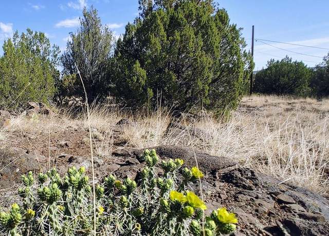 Property at 1799 Scott Pl, Show Low, AZ 85901