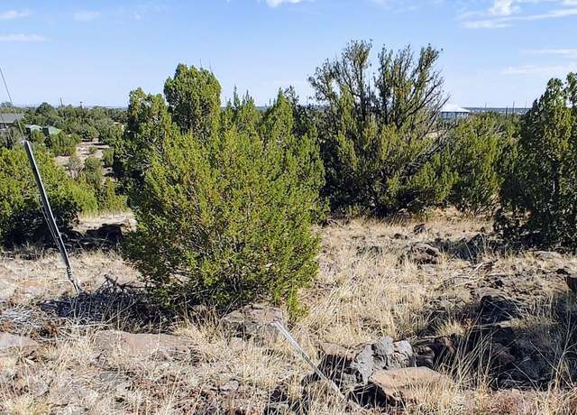 Property at 1794 Queen Creek Pl, Show Low, AZ 85901